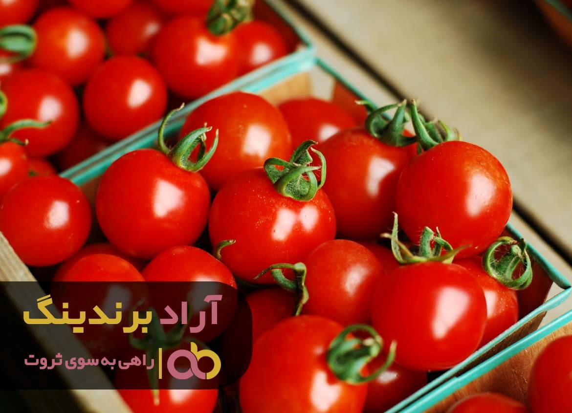 https://akharinnews.com/images/1401/10/13/22.jpg