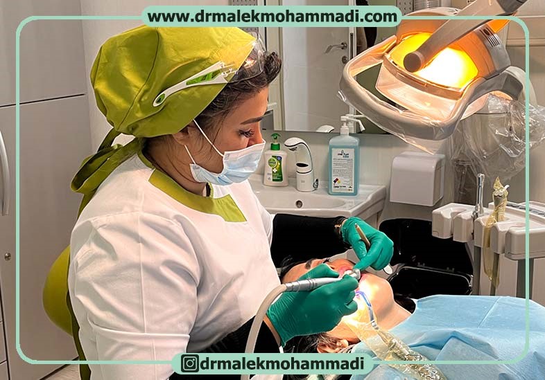 دکتر عطیه ملک محمدی دکتر عطیه ملک محمدی