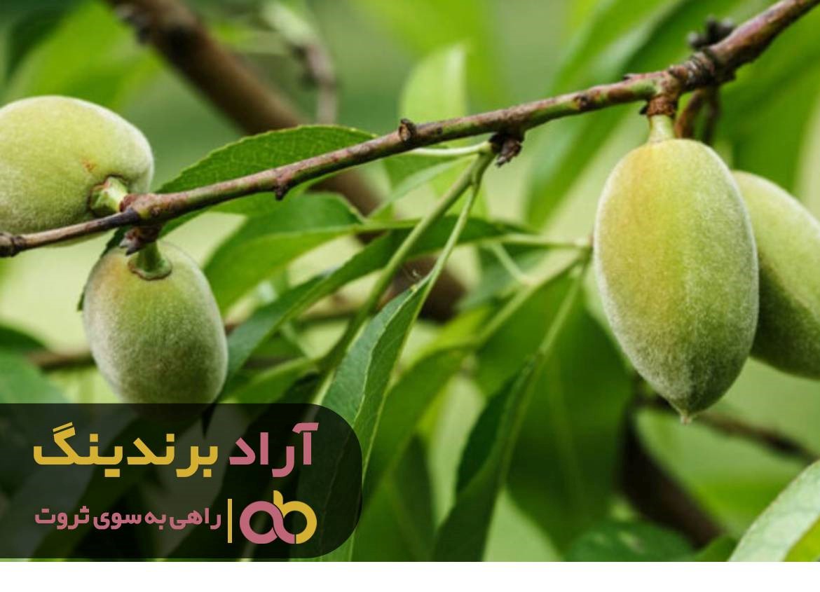 https://akharinnews.com/images/1401/10/18/33.jpg