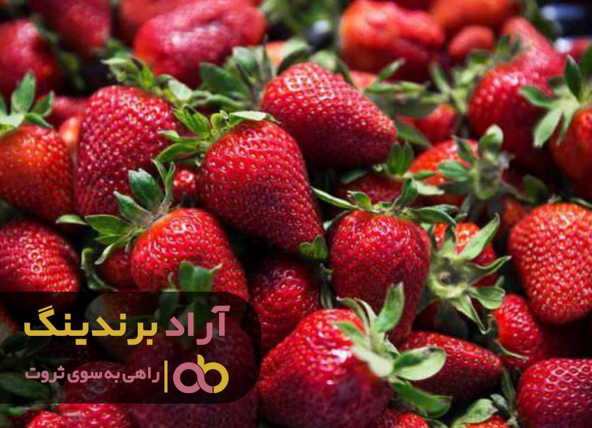 https://akharinnews.com/images/1401/10/21/12.jpg