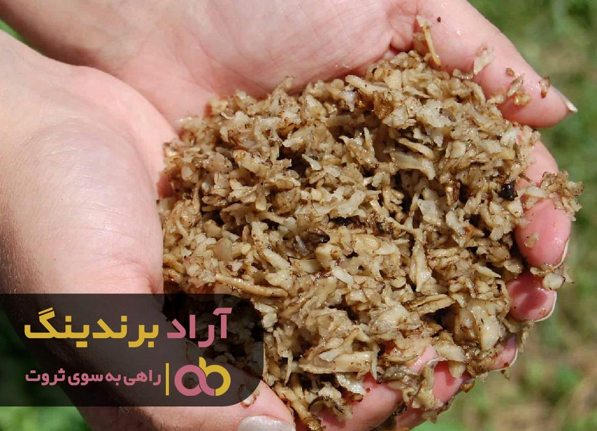 https://akharinnews.com/images/1401/10/21/31.jpg