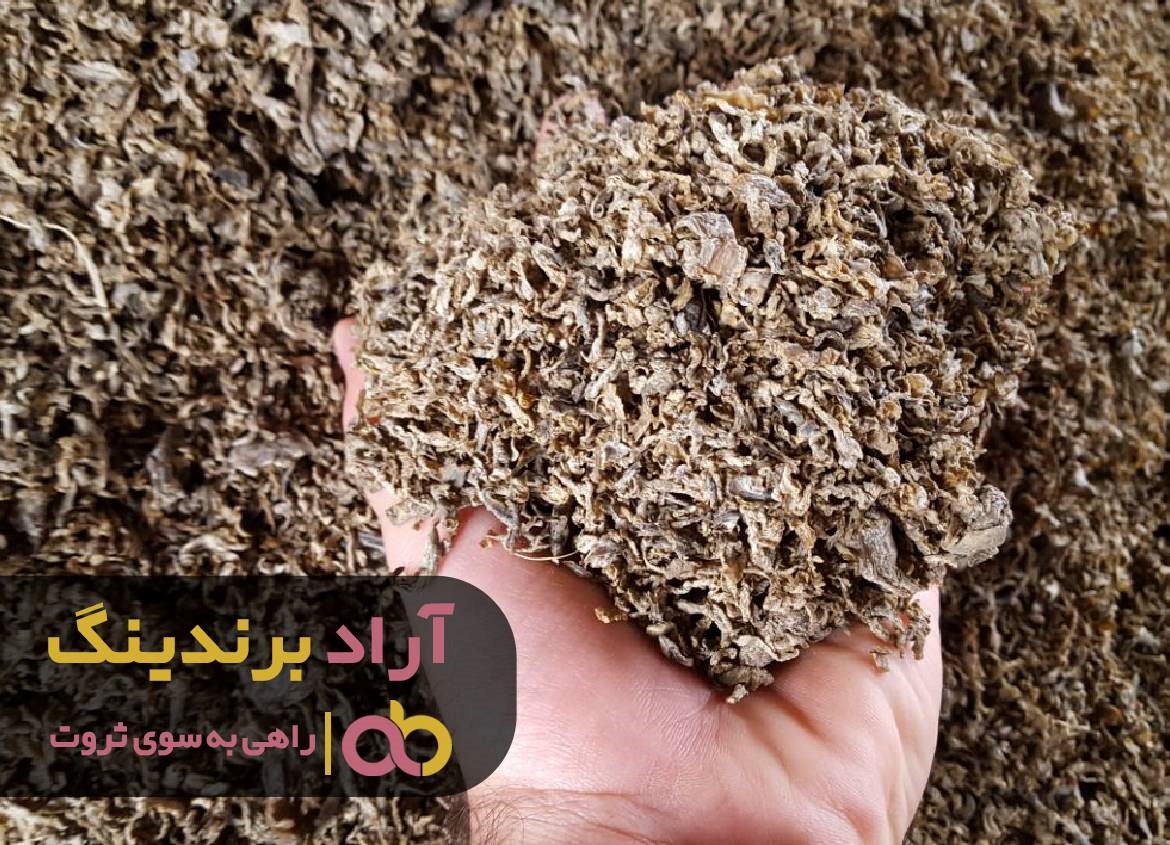 https://akharinnews.com/images/1401/10/21/33.jpg