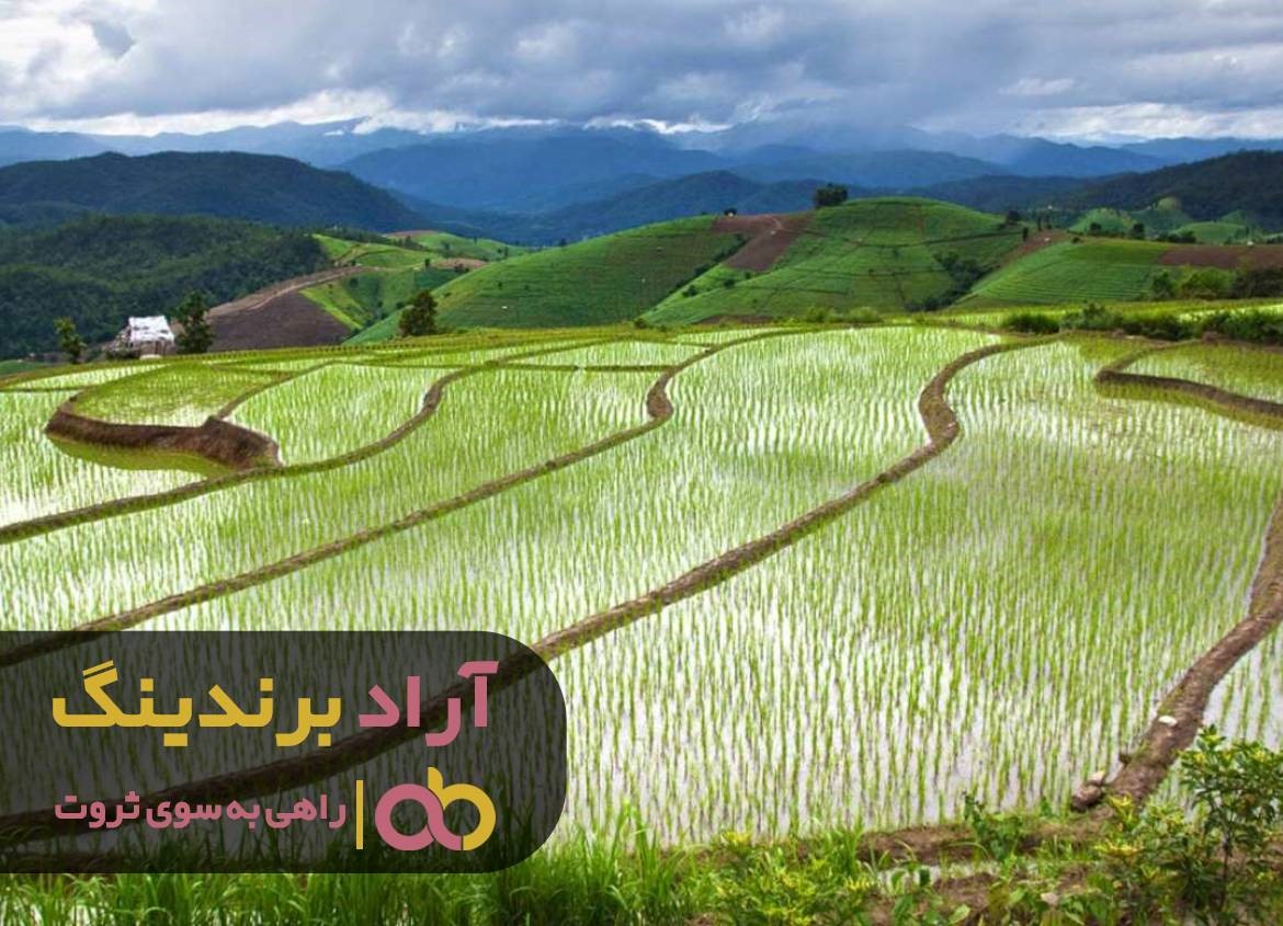 https://akharinnews.com/images/1401/10/22/32.jpg