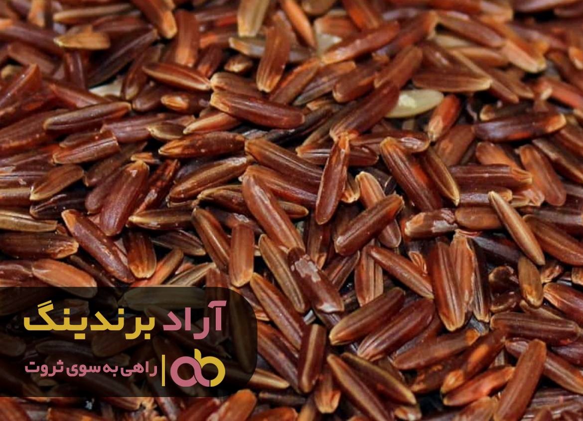https://akharinnews.com/images/1401/10/22/33.jpg