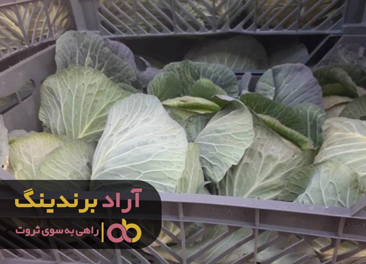 https://akharinnews.com/images/1401/10/23/41.jpg