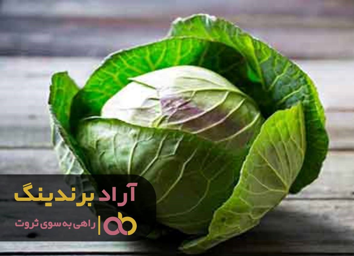 https://akharinnews.com/images/1401/10/23/43.jpg