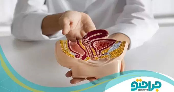 نکاتی برای بهبود سلامت کلی اورولوژی