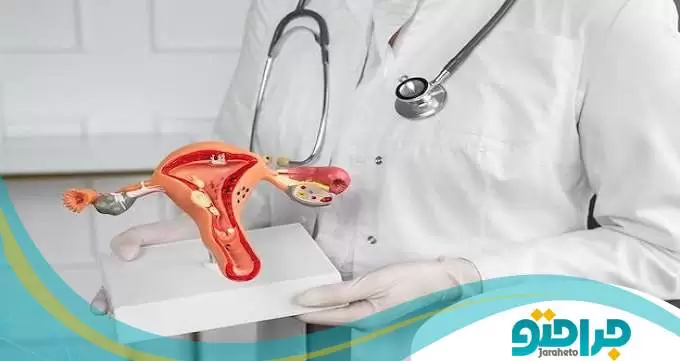 افزایش آمار بیماری های کلیوی و مجاری ادراری! [آپدیت 2023]✔️