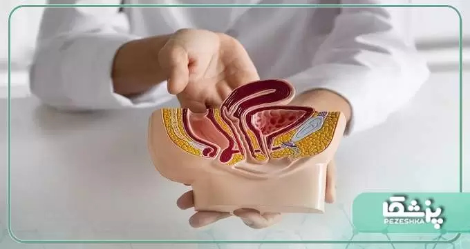 انواع بیماری های کلیوی