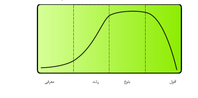 چرخه عمر محصول