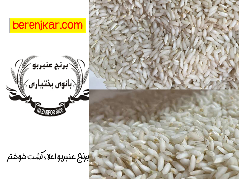برنج عنبر بو اعلا شوشتر