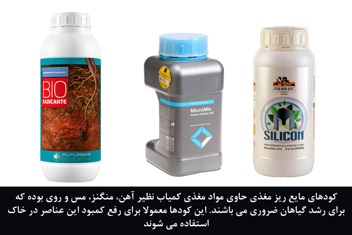 6 مزیت کود مایع