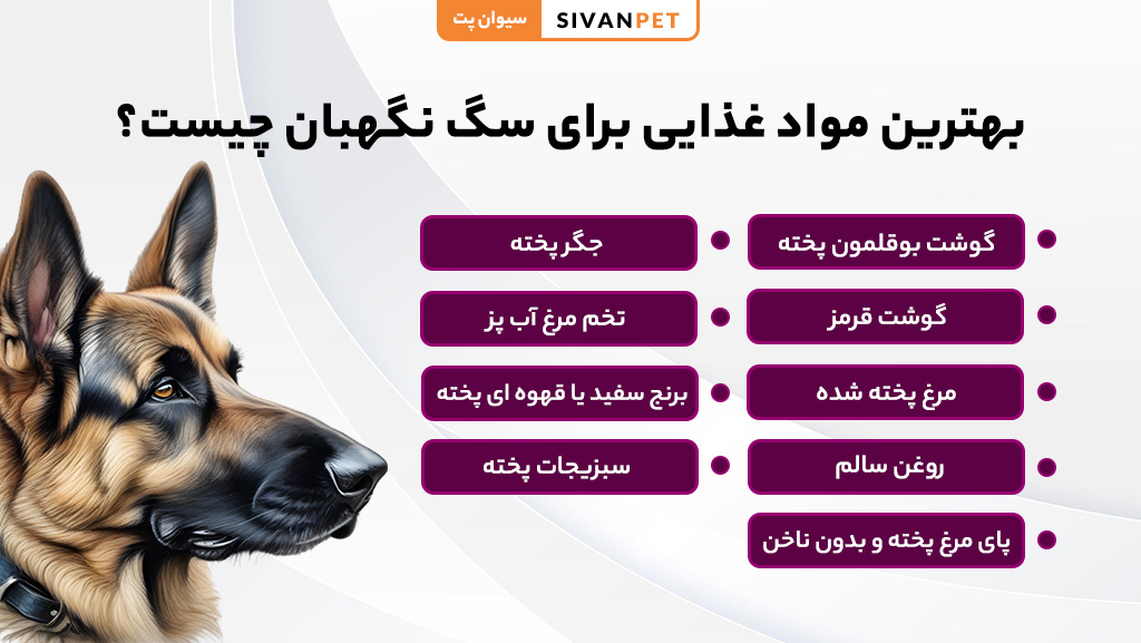 بهترین غذاها برای سگ نگهبان ویلا و باغ