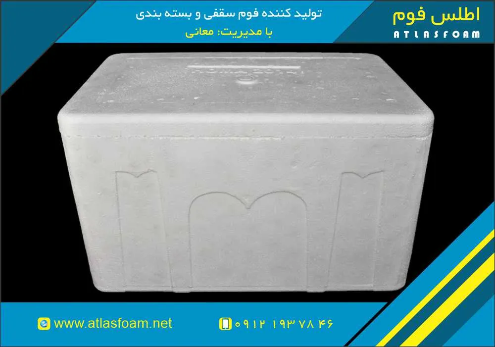 یخدان یونولیتی از کجا بخرم؟ (راهنمای کامل خرید یخدان فومی)