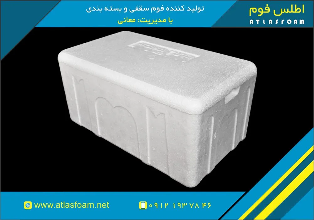 یخدان یونولیتی از کجا بخرم؟ (راهنمای کامل خرید یخدان فومی)