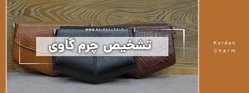 تشخیص چرم گاوی