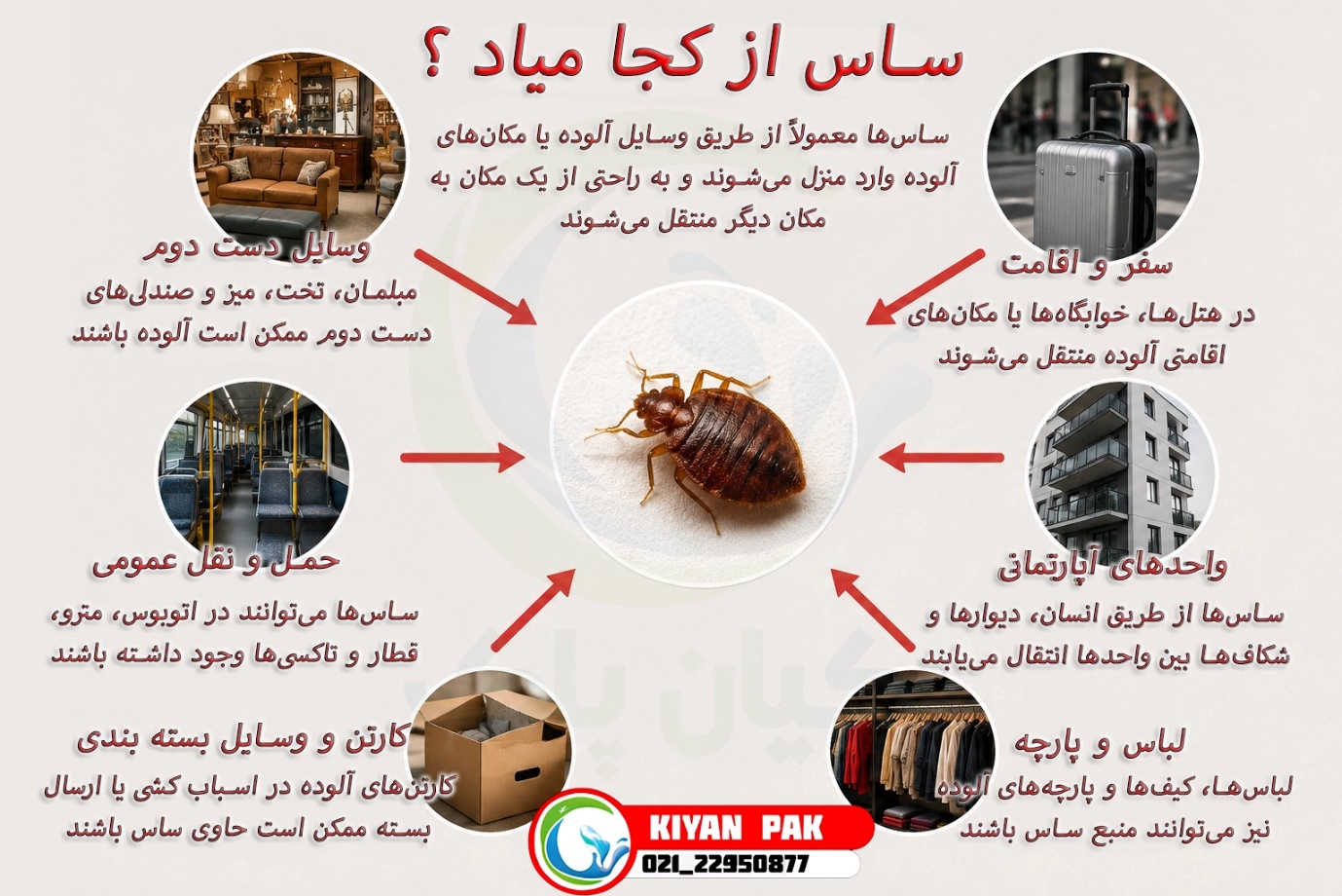 ساس چگونه وارد خانه می شود؟