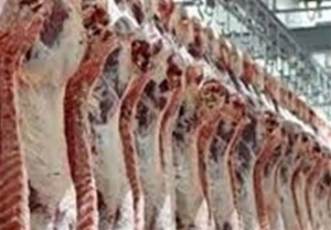 توزیع گوشت گوسفند روسی با قیمت ۱۸۰ هزار تومان