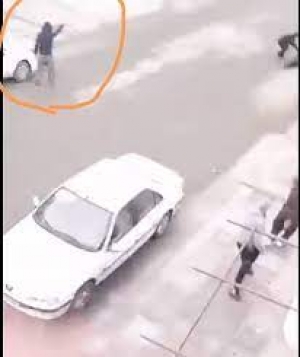 لو رفتنِ یک پروژه &laquo;کشته سازی&raquo; در کامیاران! + فیلم