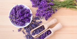 گیاهی محبوب و معجزه&zwnj;آسا برای آرامش اعصاب