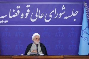 اژه&zwnj;ای: نتیجه بررسی پرونده فوت &laquo;مهسا امینی&raquo; بدون ملاحظه اعلام می&zwnj;شود