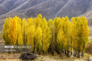 تصاویر| طبیعت زیبای پاییزی در لرستان