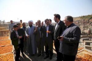 عزت الله ضرغامی