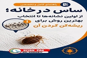 ساس در خانه؛ از اولین نشانه&zwnj;ها تا انتخاب بهترین روش برای ریشه&zwnj;کن کردن آن