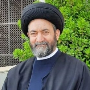آیت&zwnj;الله سیدحسن عاملی