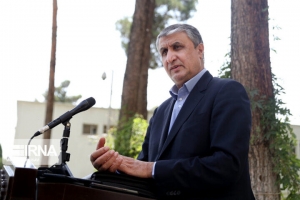 محمد اسلامی
