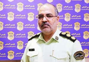 رئیس پلیس آگاهی پایتخت از دستگیری عاملان آدم&zwnj;ربایی پزشک سرشناس تهران خبر داد و گفت: متهمان پدر و پسر هستند.