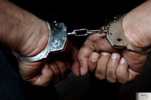 دستگیری نویسندگان بیانیه موسوی، هنگام فرار از کشور